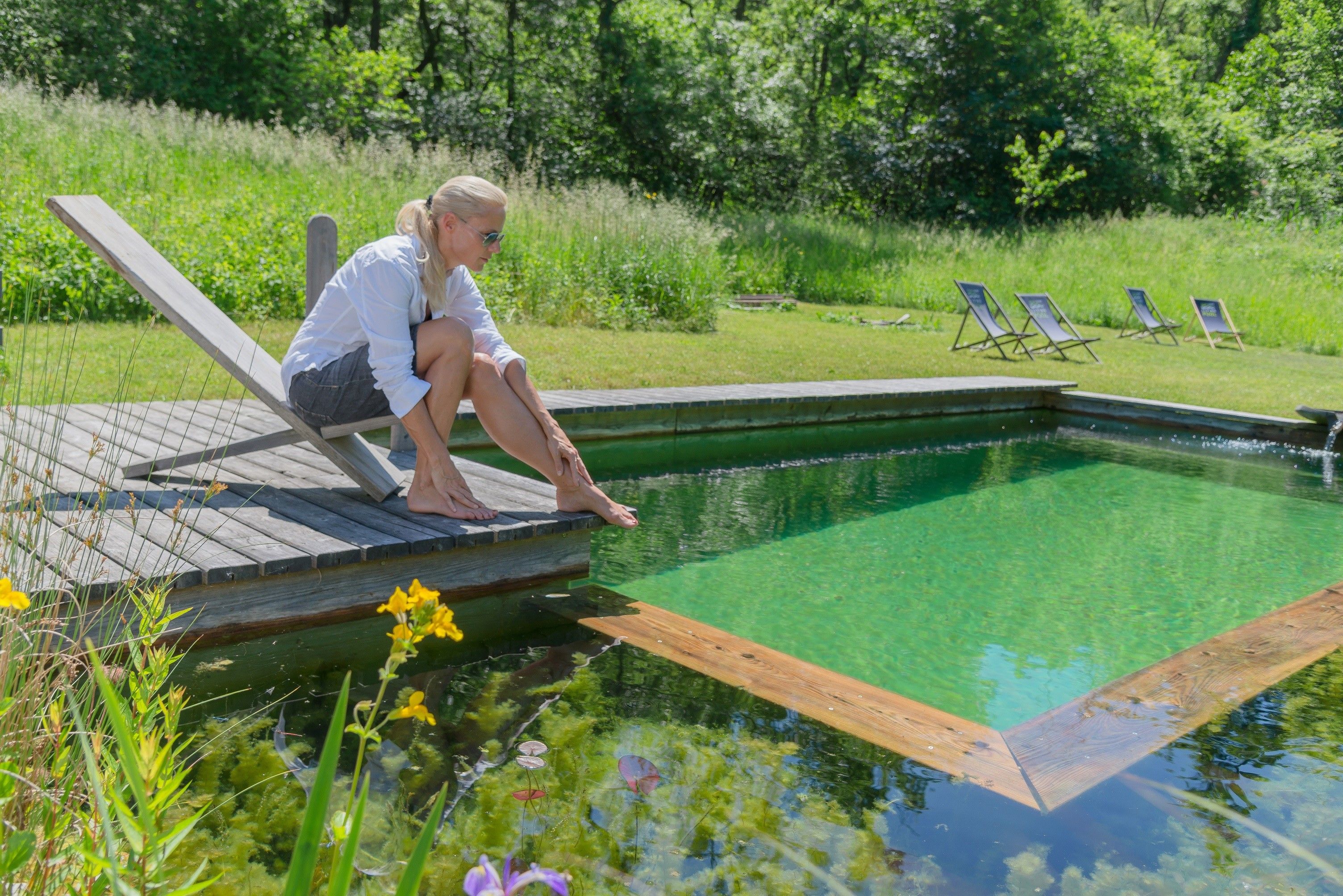 51+ Biotop Teich Pflege, Wie sie ihren teich von anfang an richtig